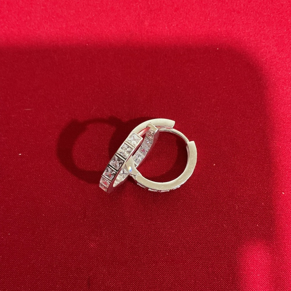 Elegant Silver Hoop Earrings
